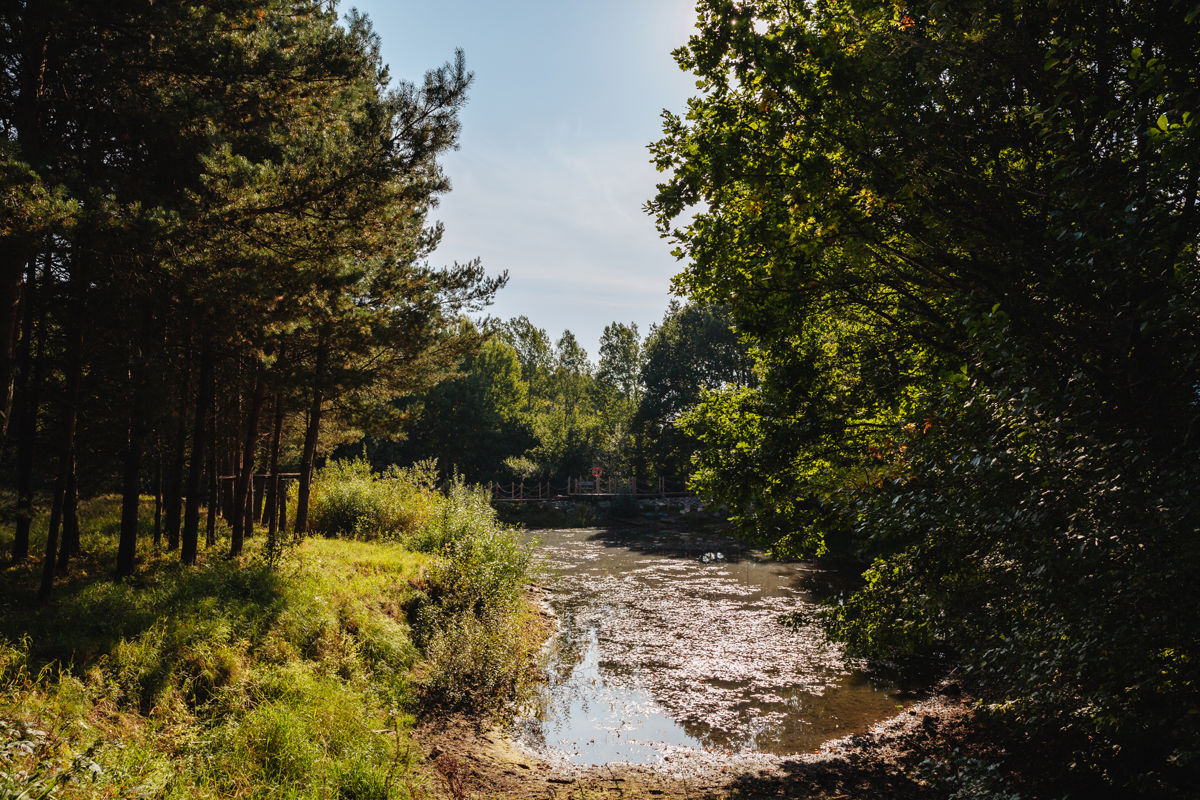 Żukczyn